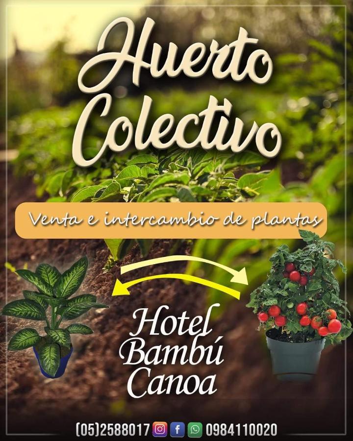 Hotel Bambu Canoa Dış mekan fotoğraf