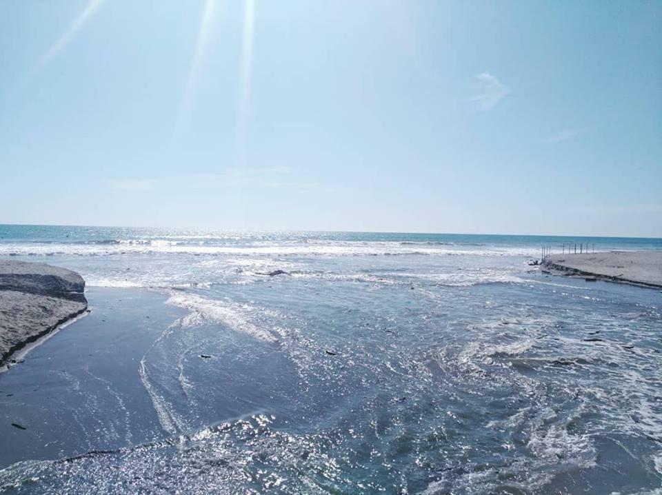 Hotel Bambu Canoa Dış mekan fotoğraf